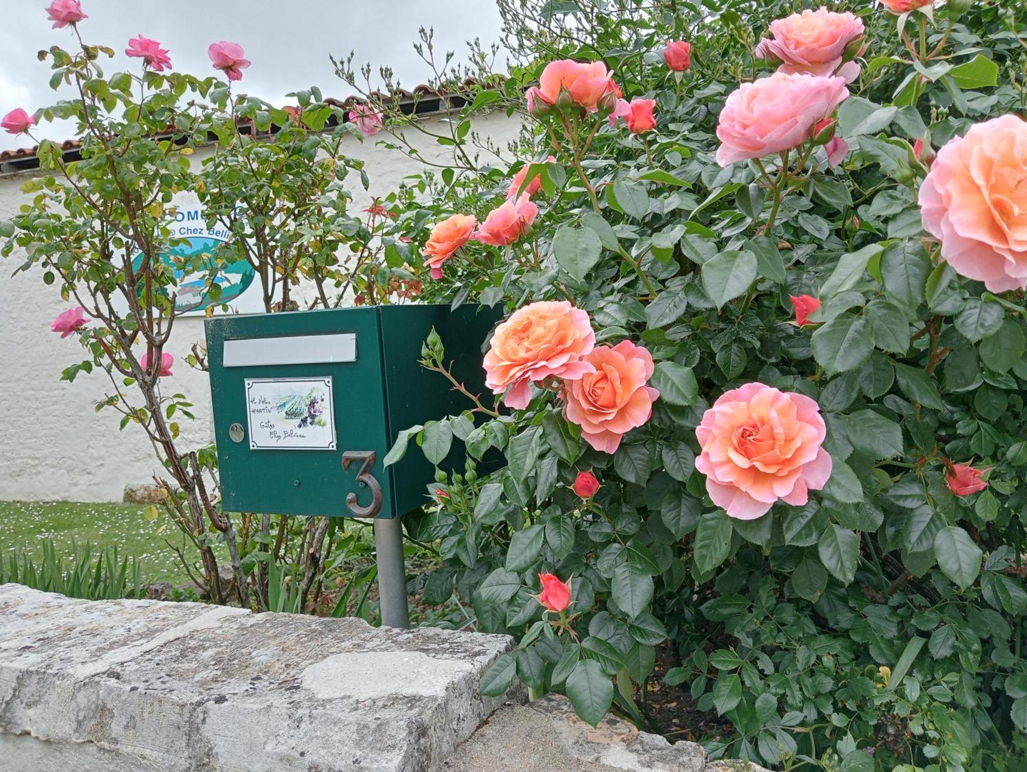 Gites Chez Belliveau Meursac Exterior foto